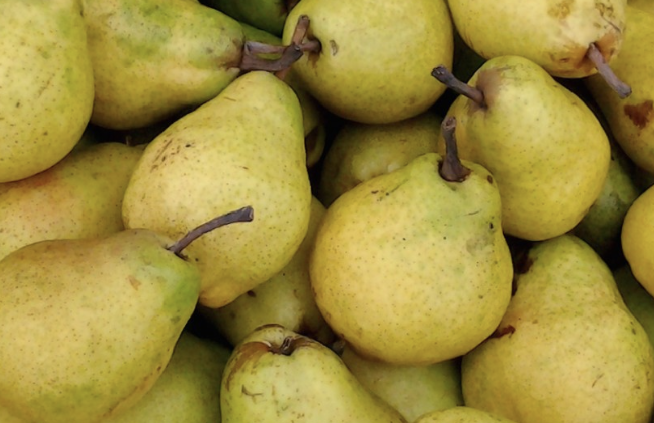 Screen Shot 2021-01-04 at 3.10.46 PM.png