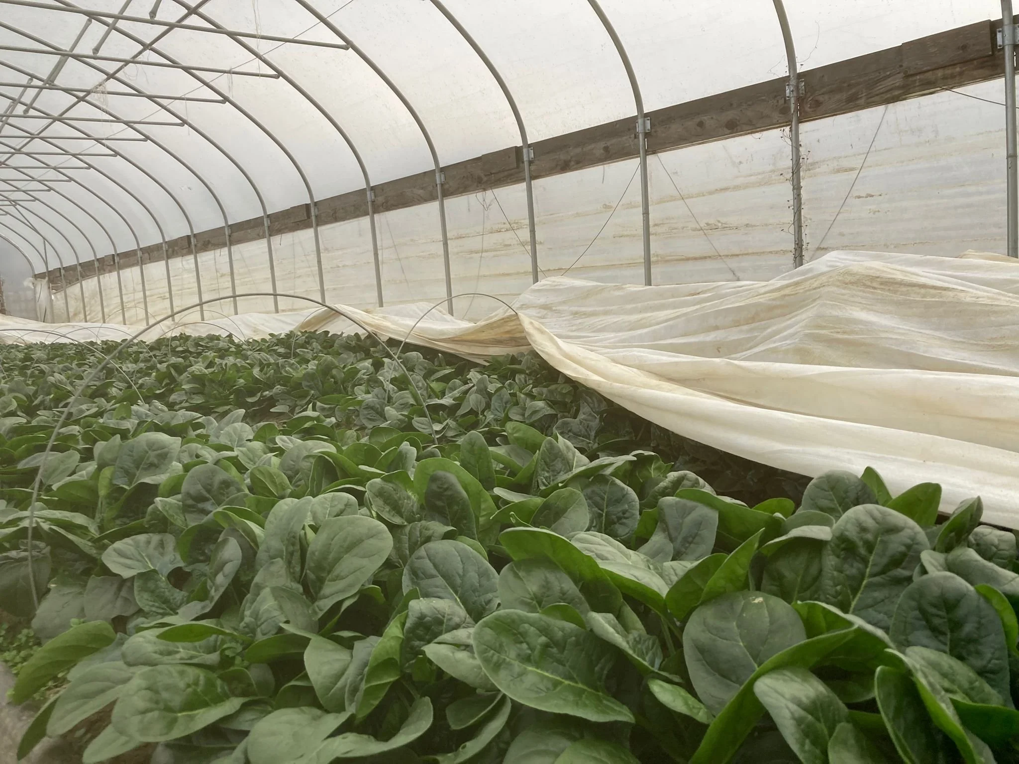 WhatsApp Image 2025-01-03 at 15.59.49.jpeg