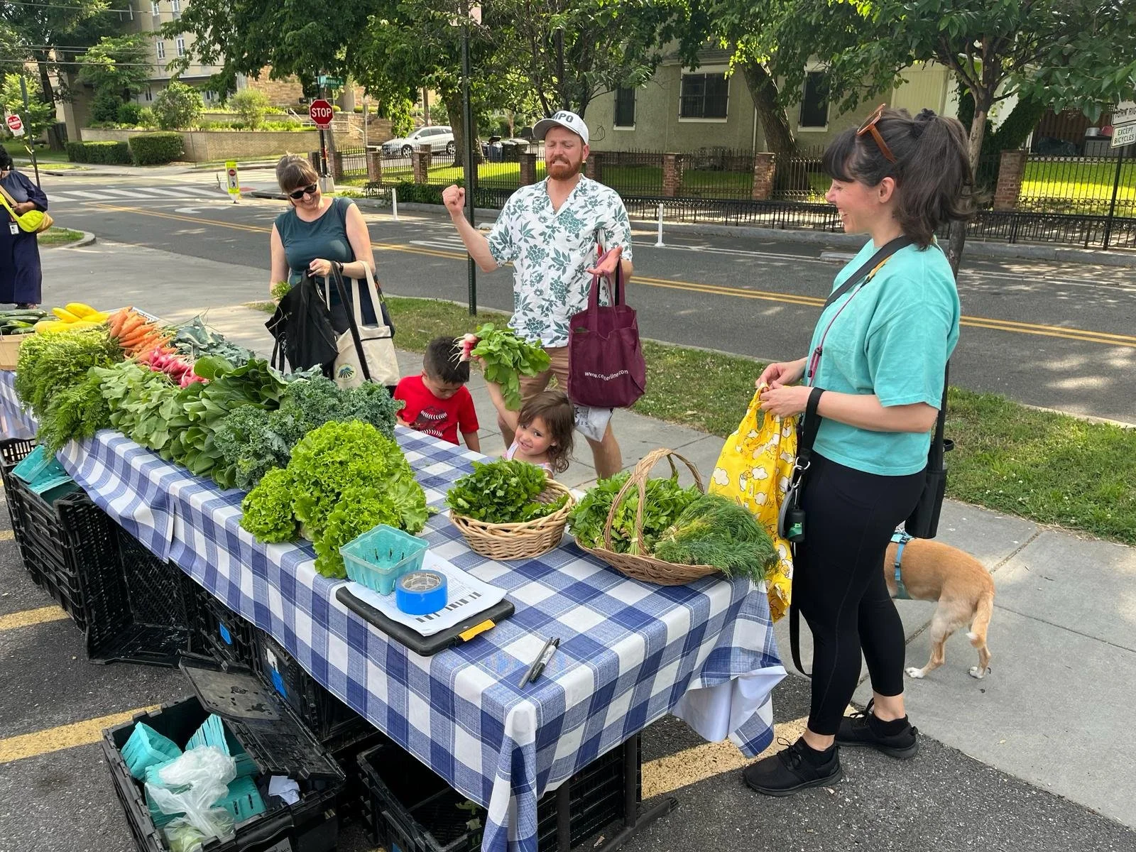 WhatsApp Image 2024-06-04 at 18.03.48.jpeg