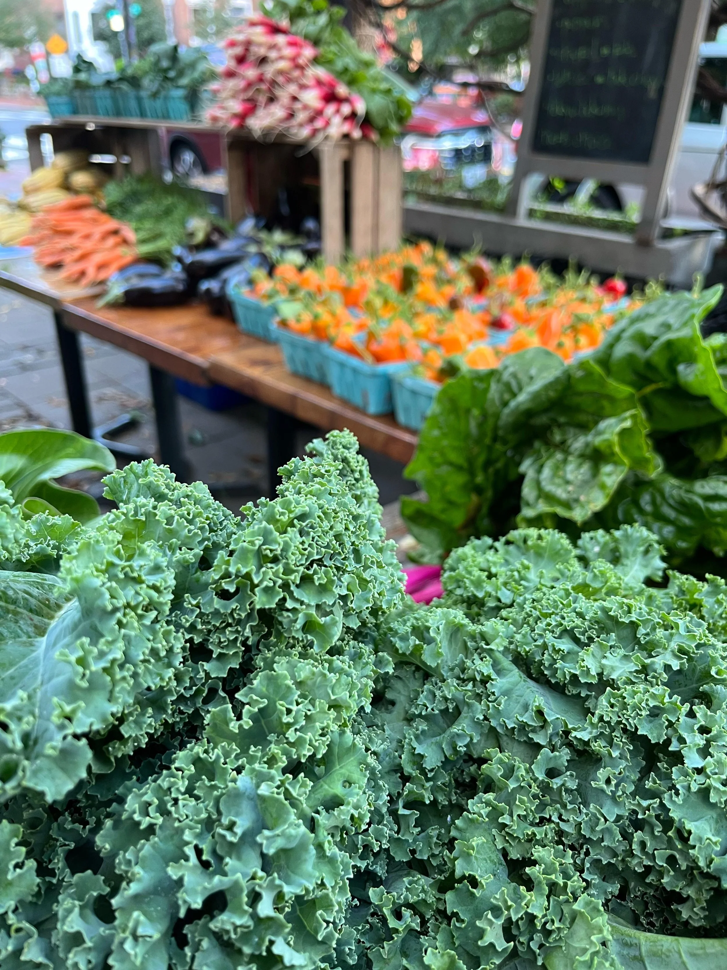 WhatsApp Image 2025-10-14 at 17.45.29.jpeg