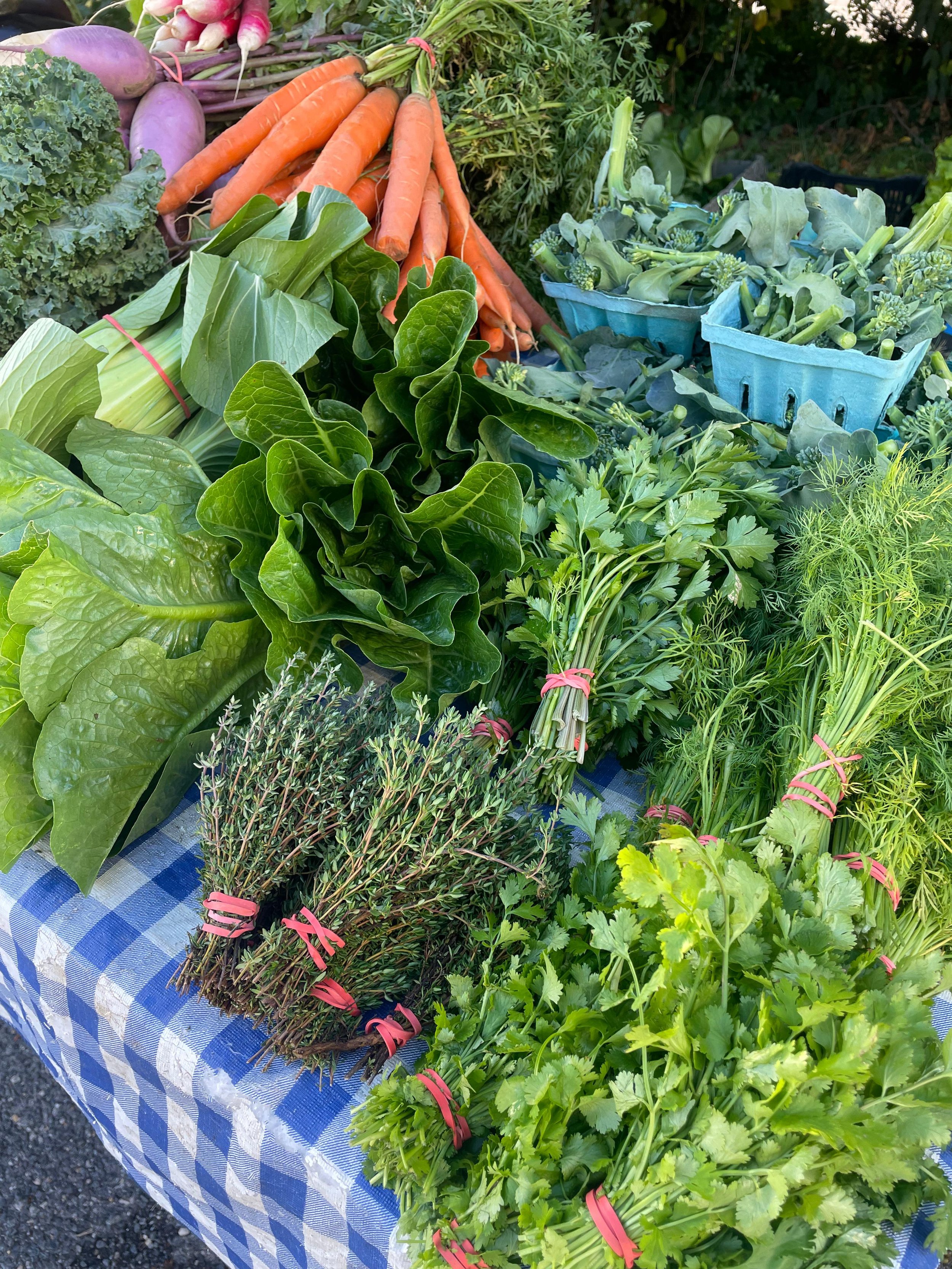 WhatsApp Image 2025-10-14 at 16.54.02.jpeg