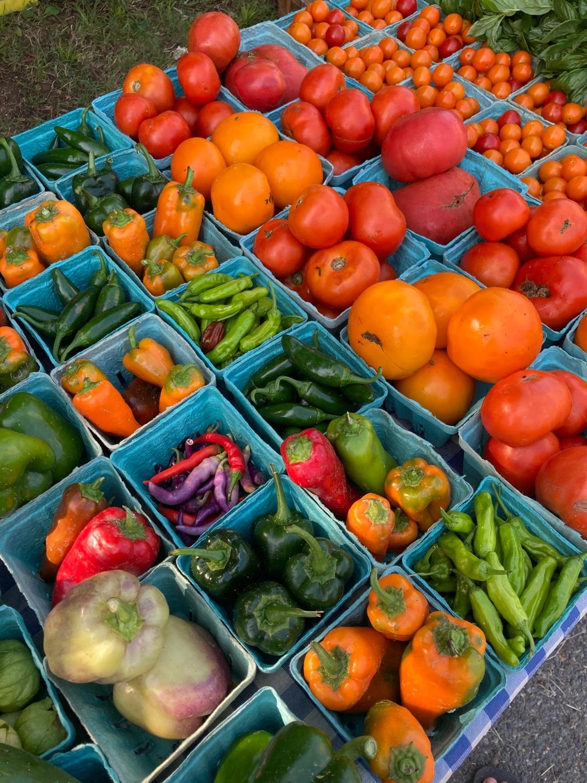 WhatsApp Image 2025-07-29 at 16.52.00.jpeg