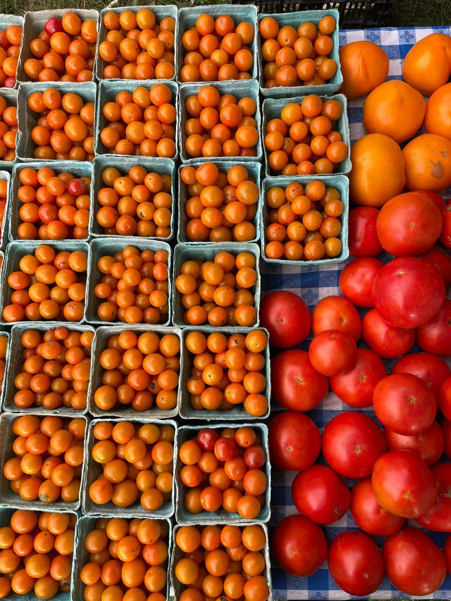 WhatsApp Image 2025-07-22 at 17.39.51.jpeg