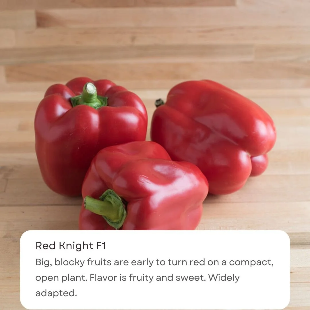 Black & White Caption Notification Quotes Instagram Post(1).jpg