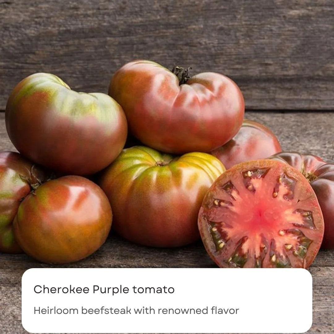 Black & White Caption Notification Quotes Instagram Post(11).jpg