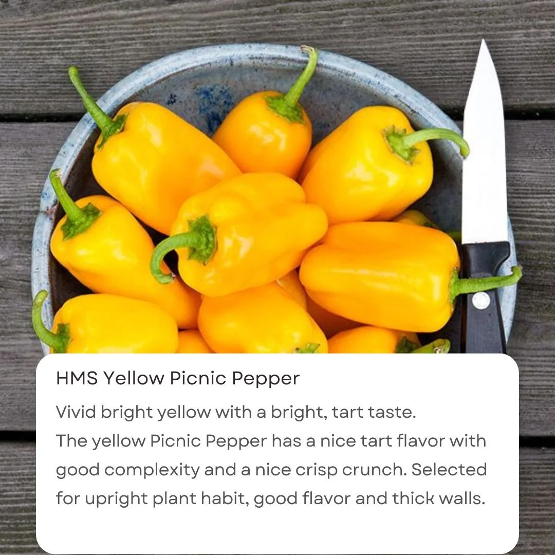 Black & White Caption Notification Quotes Instagram Post.jpg