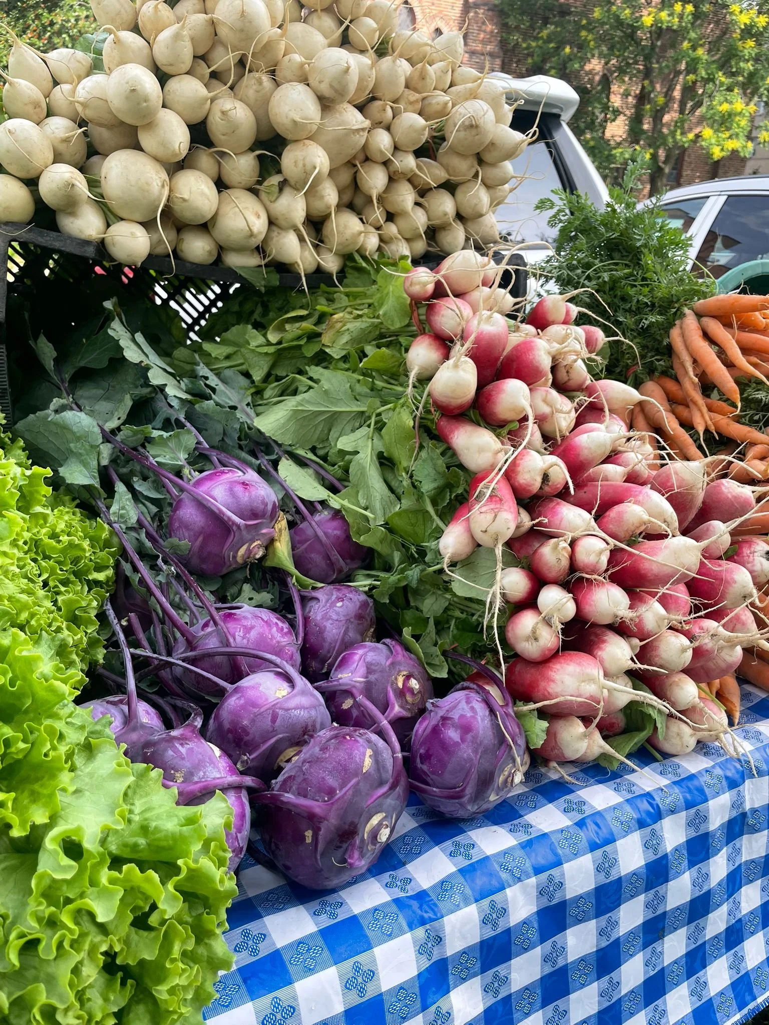 WhatsApp Image 2025-06-10 at 17.07.54 (2).jpeg