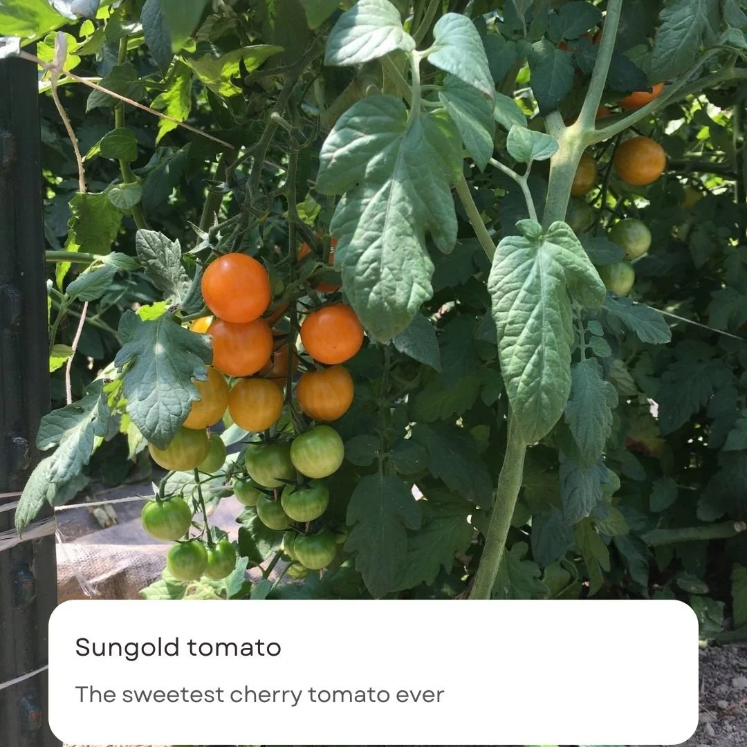 Black & White Caption Notification Quotes Instagram Post(12).jpg