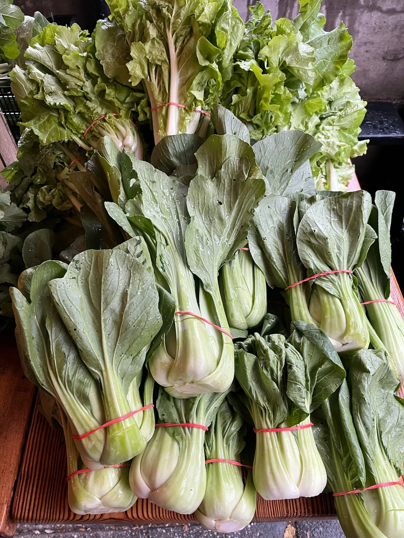 WhatsApp Image 2025-09-16 at 17.26.24.jpeg