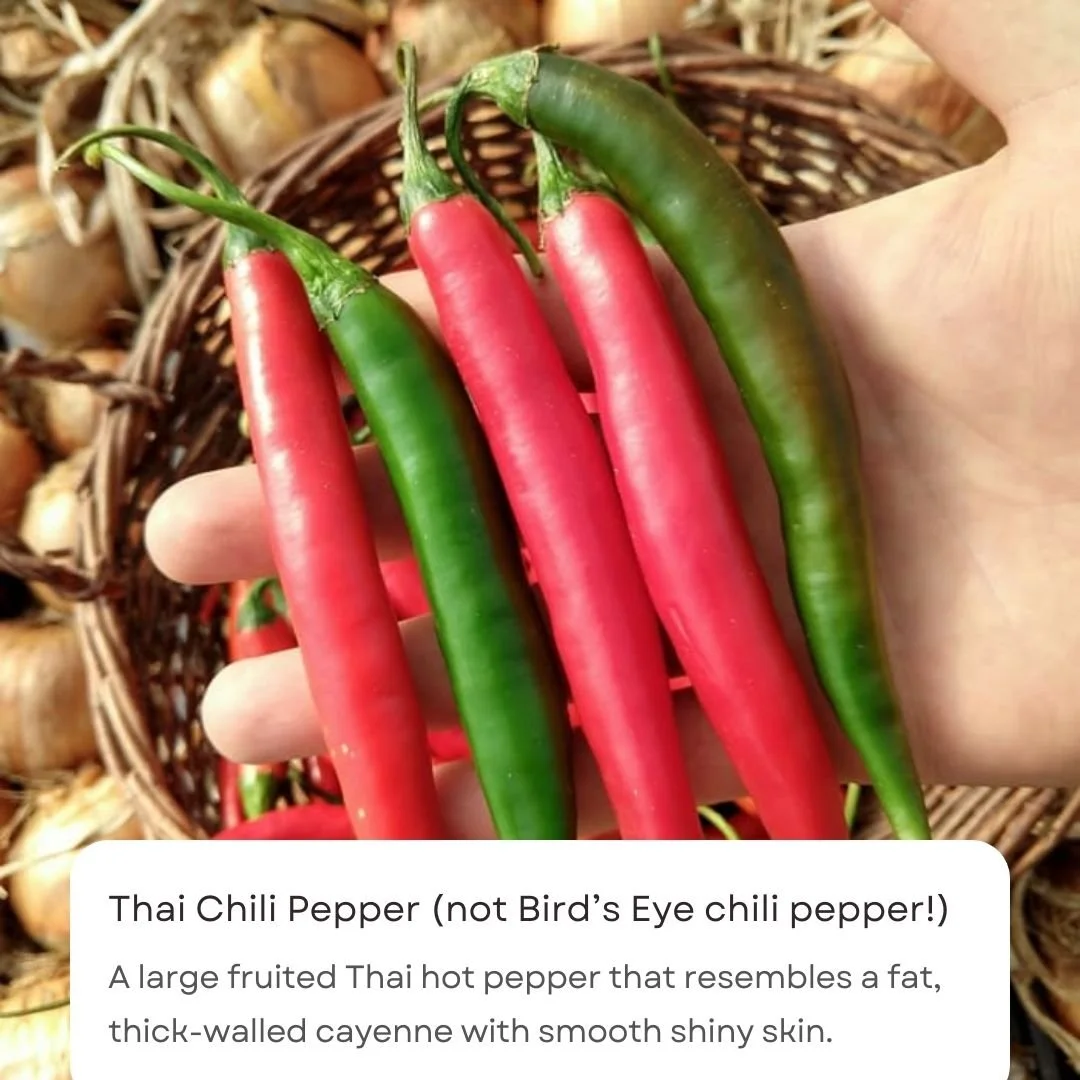 Black & White Caption Notification Quotes Instagram Post(8).jpg