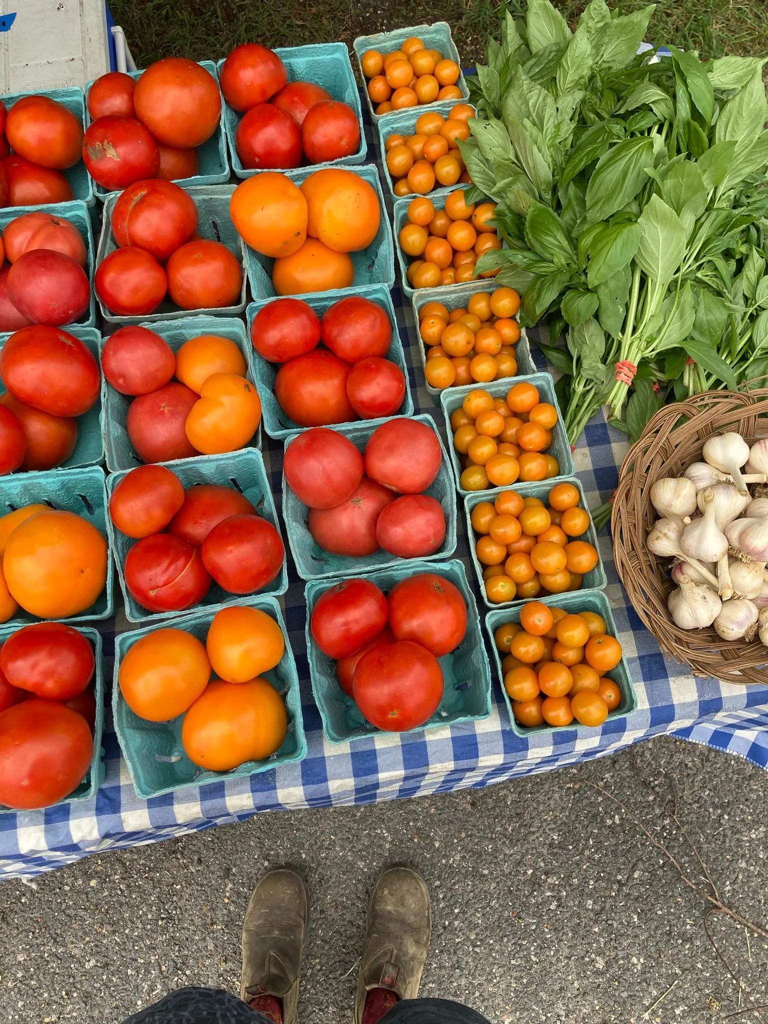 WhatsApp Image 2025-07-22 at 18.16.02 (1).jpeg