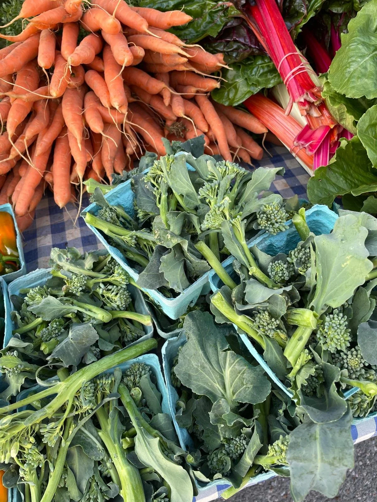 WhatsApp Image 2025-10-21 at 16.49.03 (2).jpeg