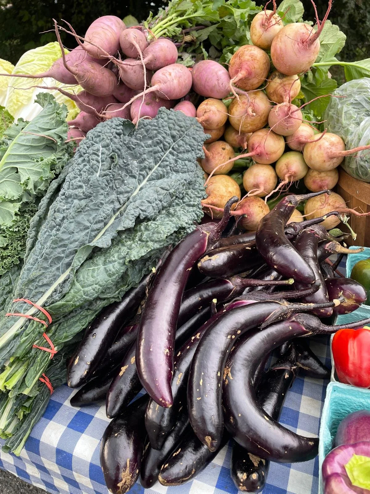 WhatsApp Image 2025-09-23 at 16.50.30 (1).jpeg