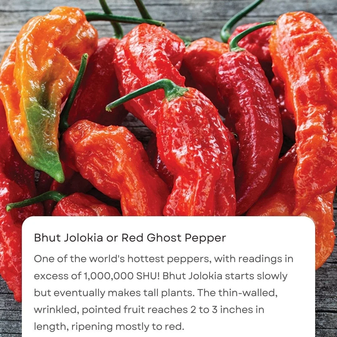 Black & White Caption Notification Quotes Instagram Post(6).jpg