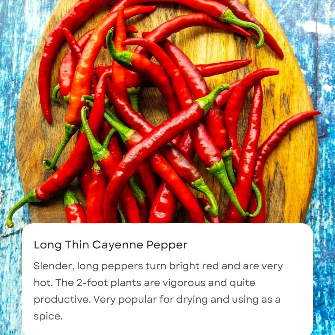 Black & White Caption Notification Quotes Instagram Post(5).jpg