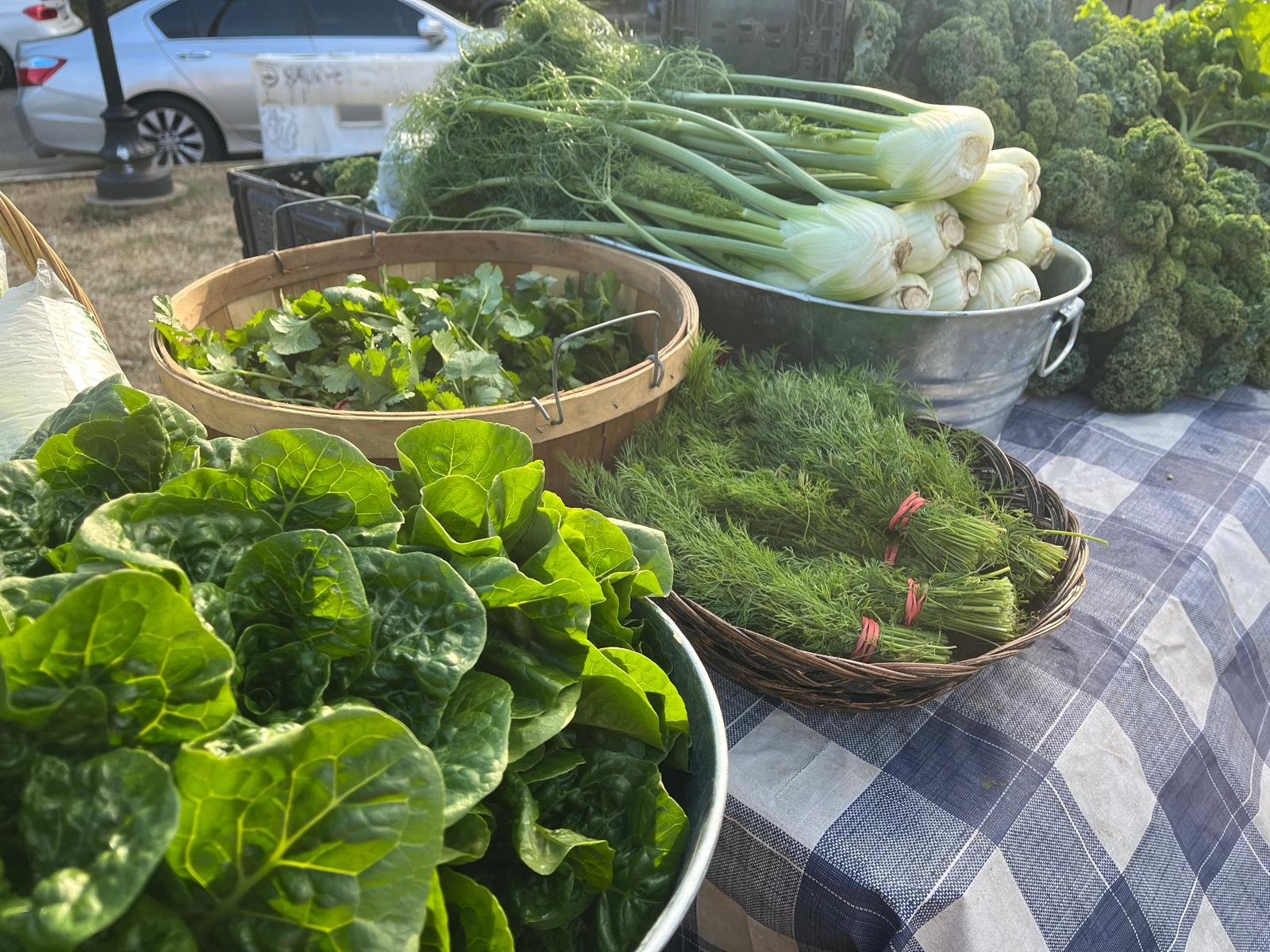 WhatsApp Image 2024-12-21 at 09.56.09.jpeg