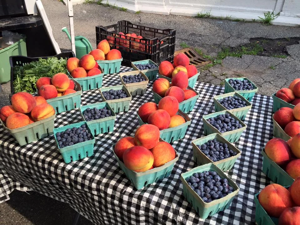 The Farmers Market at Lincoln Park was founded in 2014 as a way to bring fresh food and a sense of community to the neighborhood. For 20 weeks out of the year, vendors including Jersey Buzz, RH Farms, and Elios’s Bakery came and sold their wares to an eager audience. Programming, scheduled and organized by WSCA, included free yoga classes, boot camp, crochet lessons, music and more. 