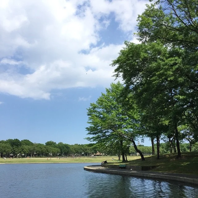 Photo of Lincoln Park, Jersey City, NJ - part of the West Side neighborhood