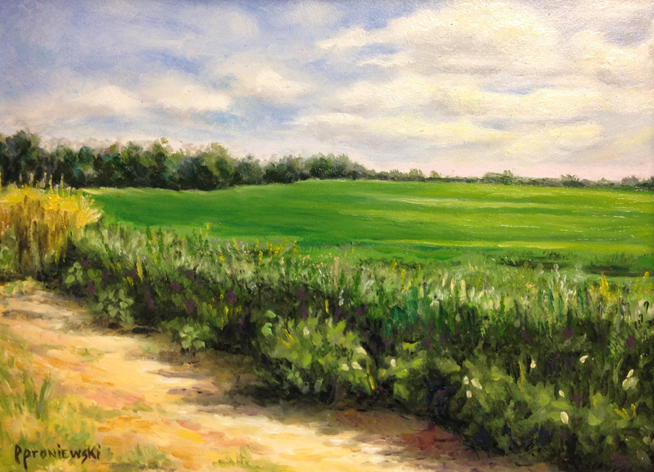 "Summer Soybean Field"