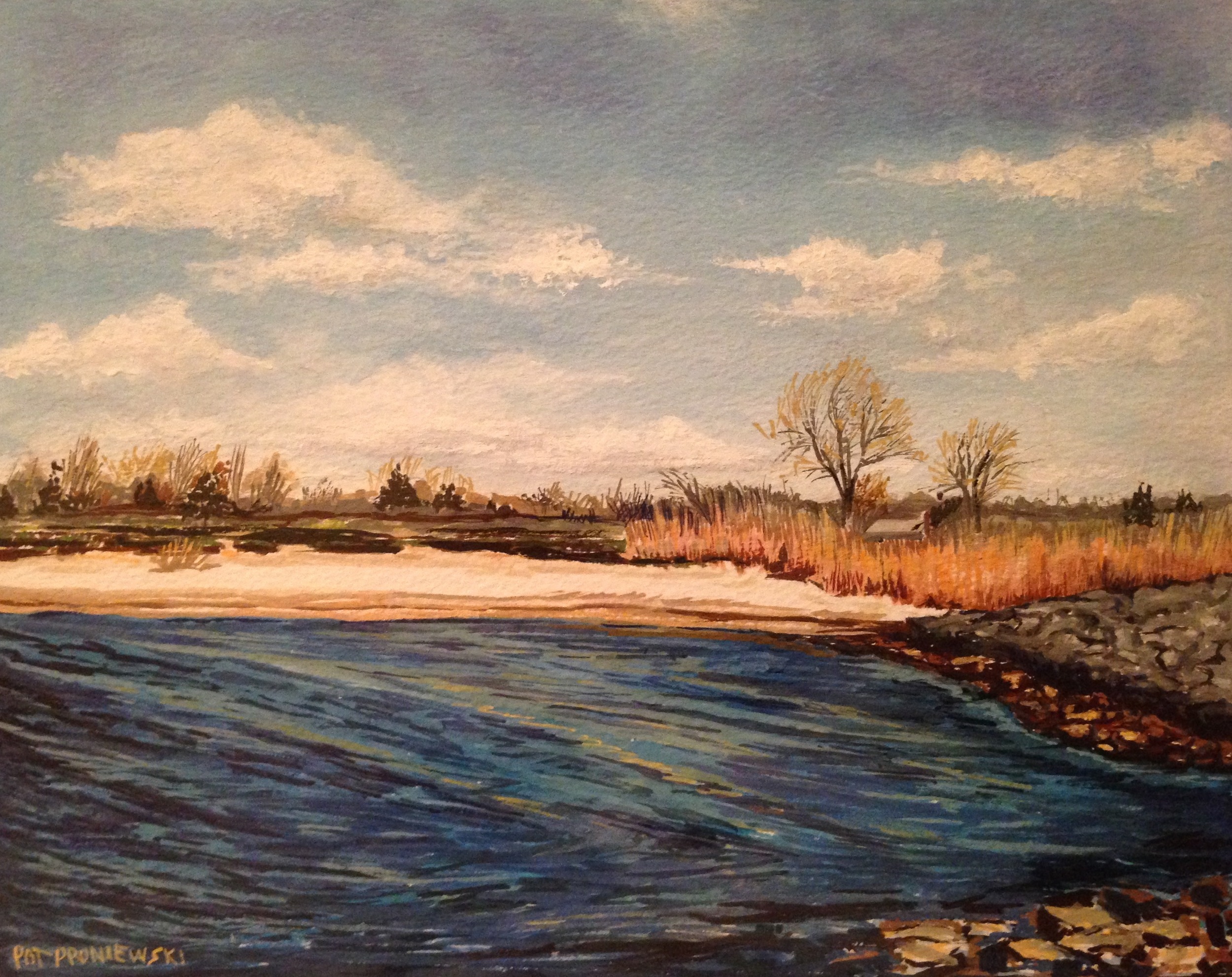 "Fisherman's Cove-Dog Beach"