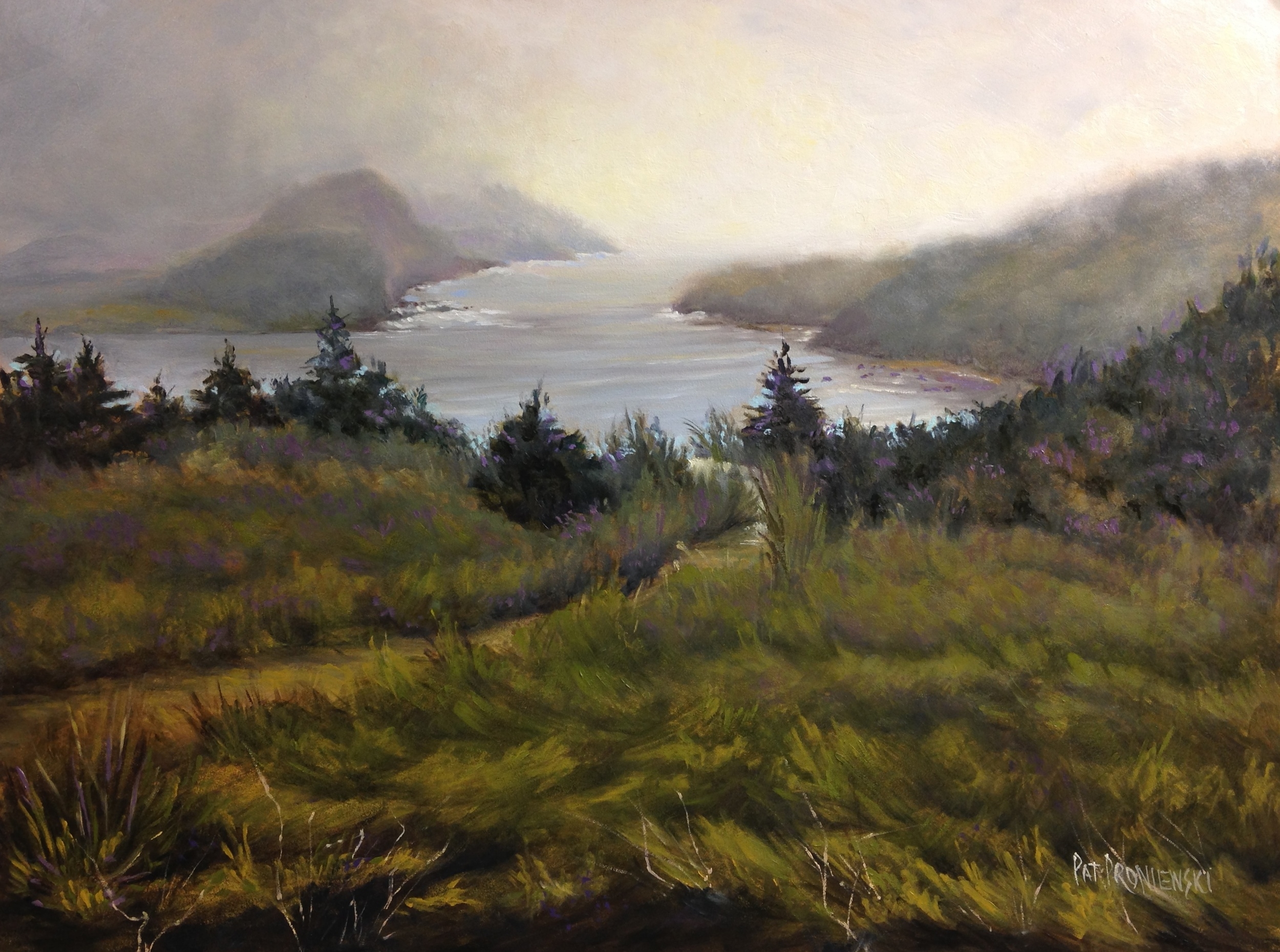 "Storm Over Newfoundland"