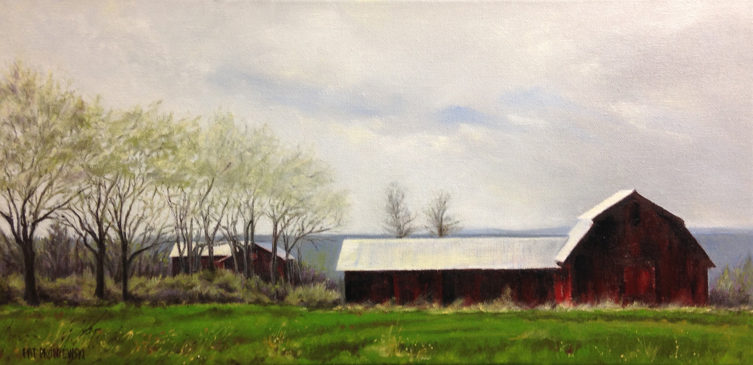 The Red Barn, Finger Lakes