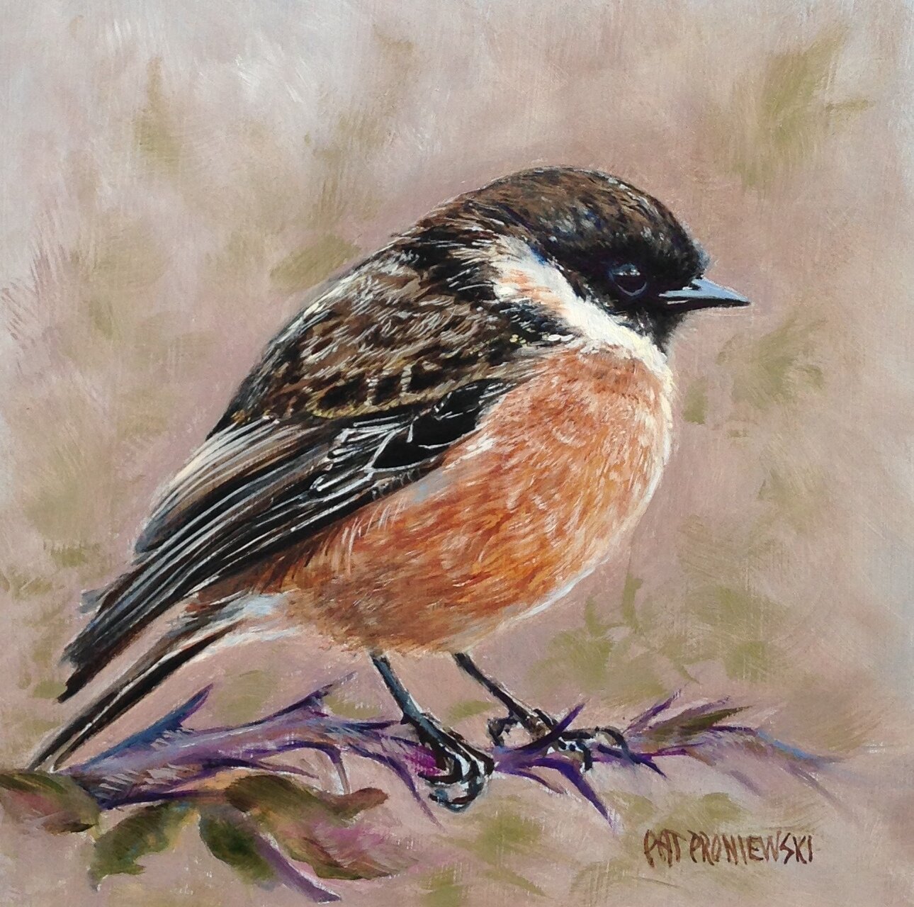 Chickadee