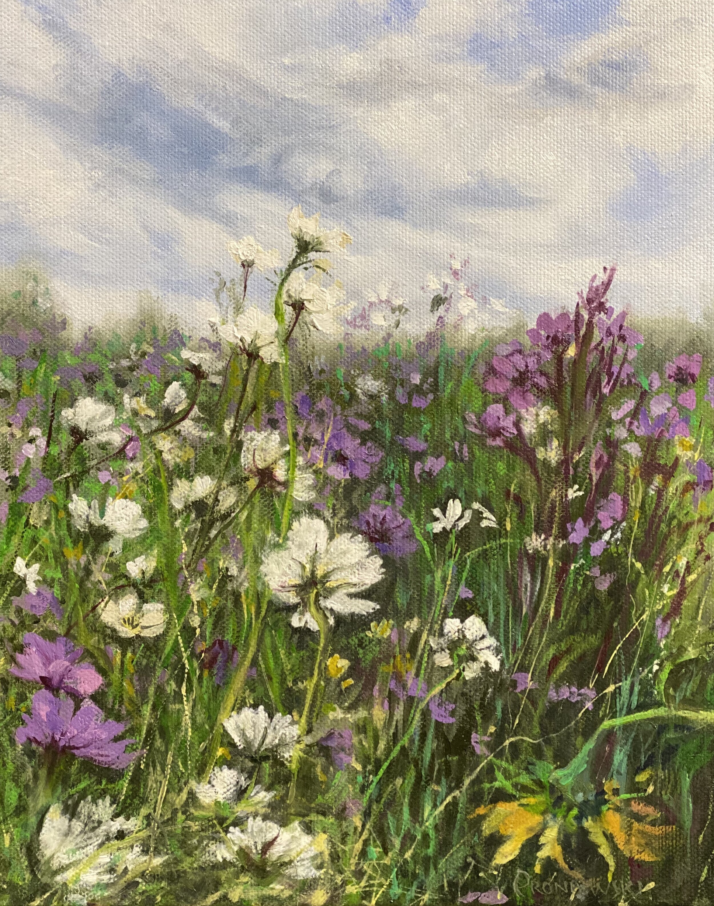 The Wind and the Wildflowers