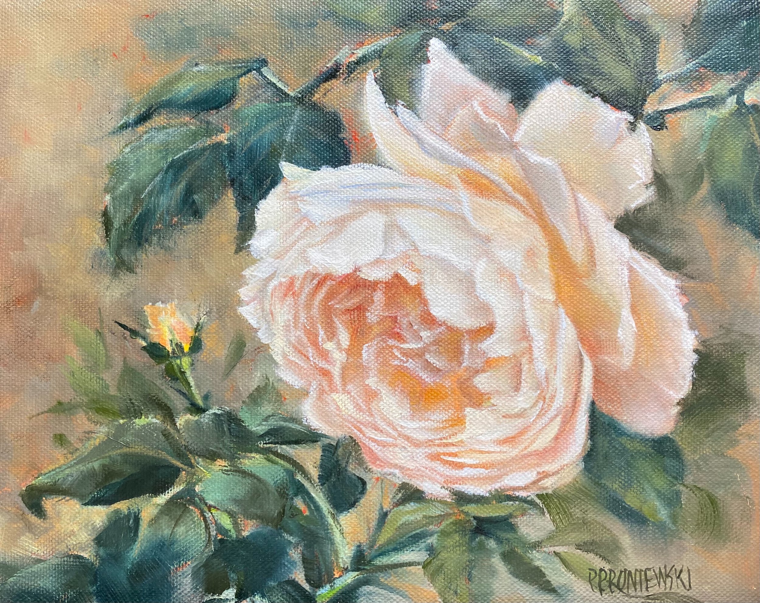 Climbing Rose Study