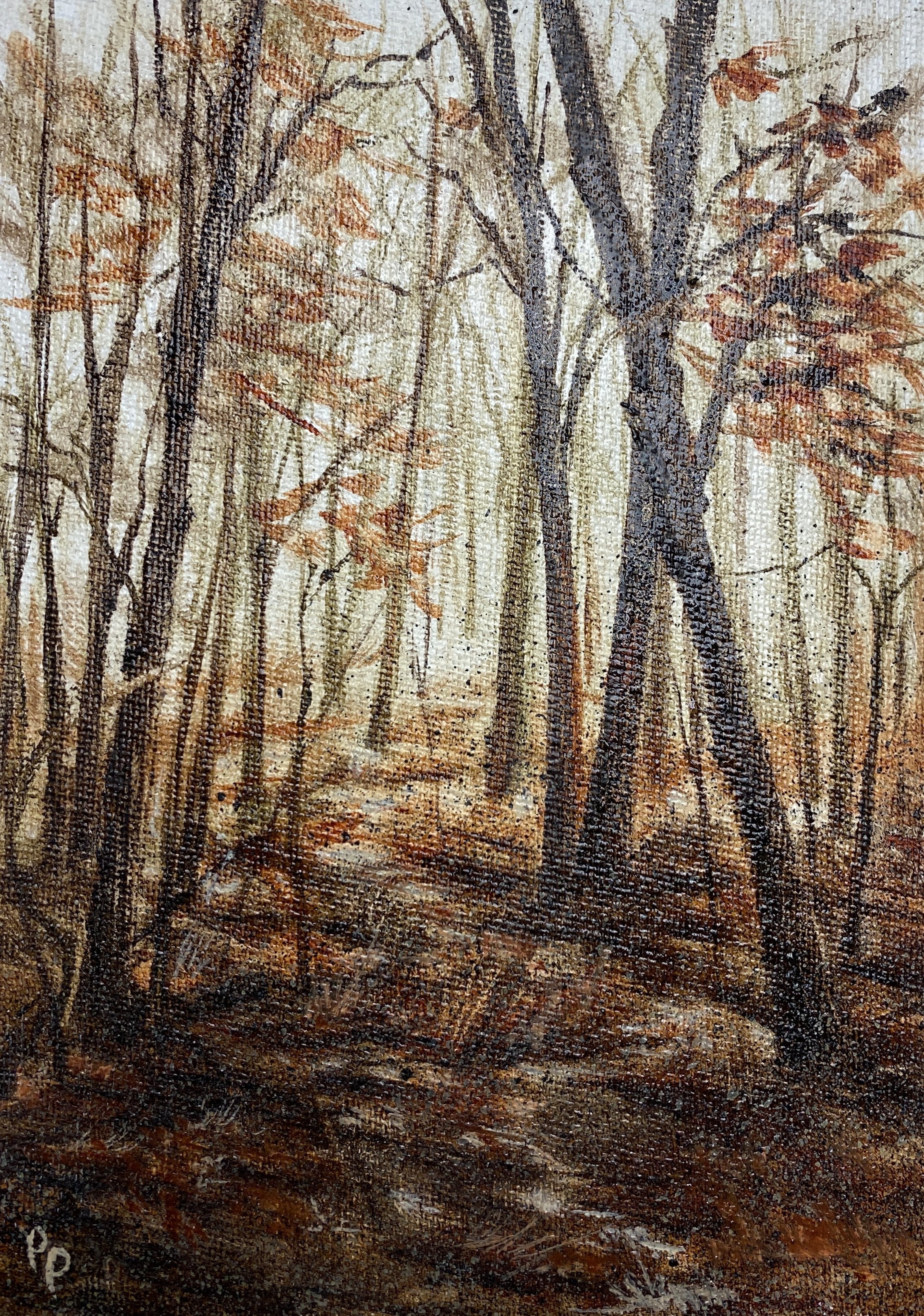 Pocono Woods Landscape Study