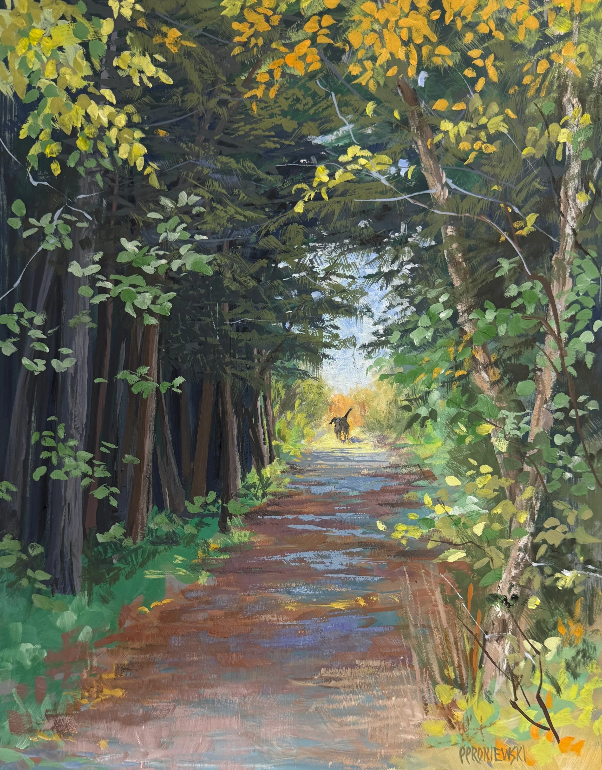 A Walk in the Woods