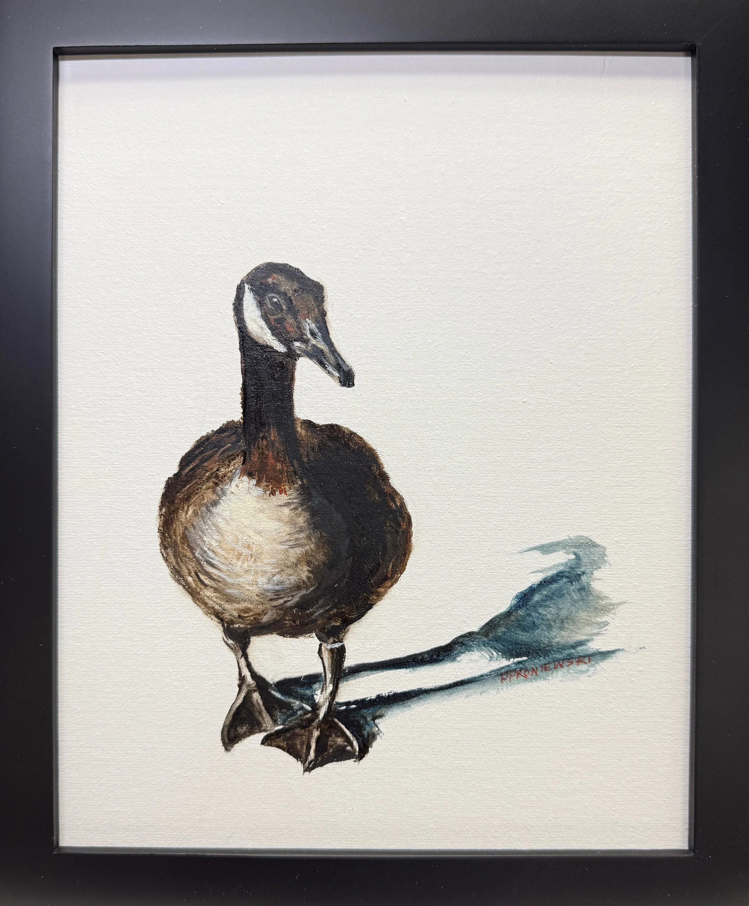 Goose Waddling in Yardley, PA