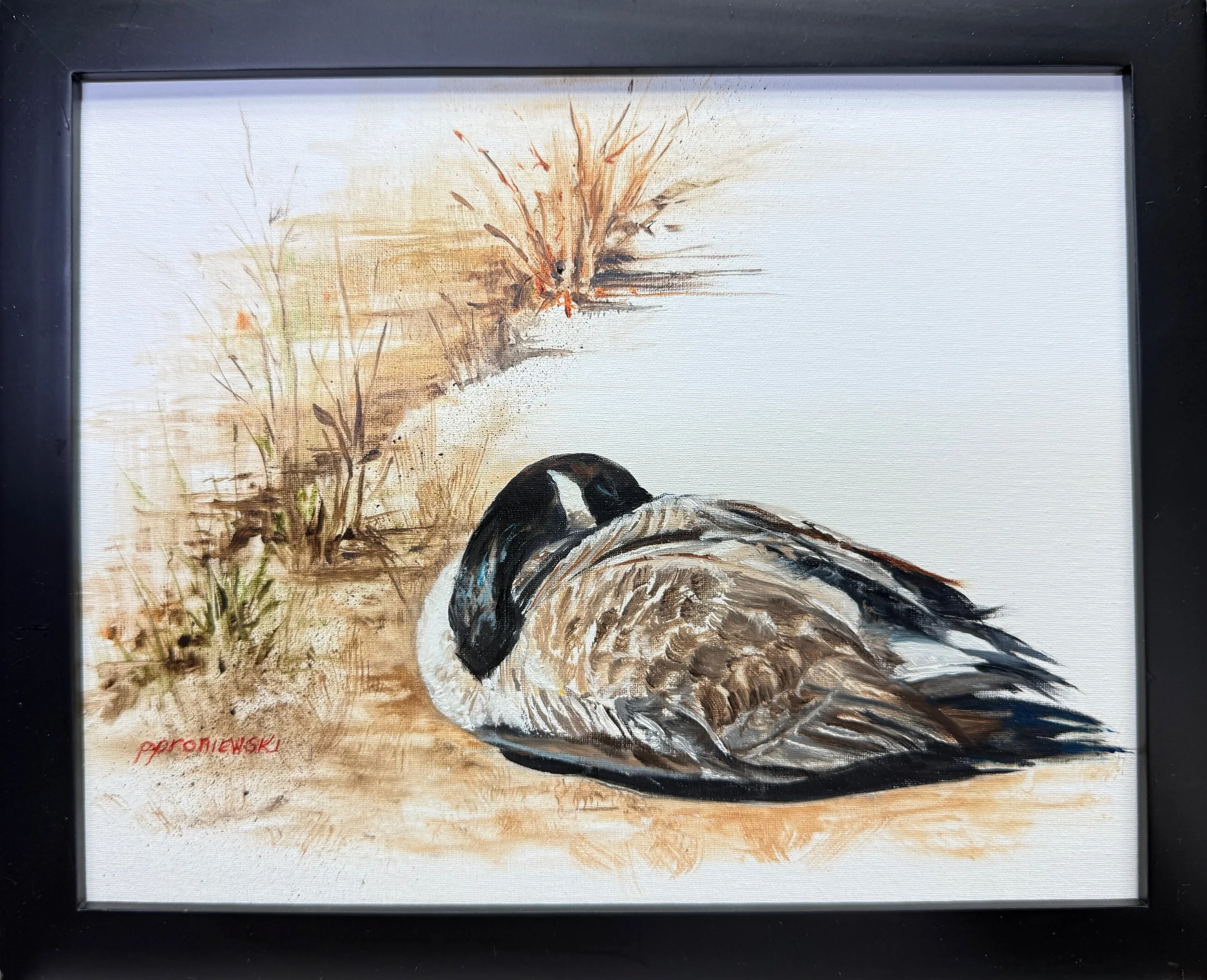 Nappin on The Towpath, Yardley, PA