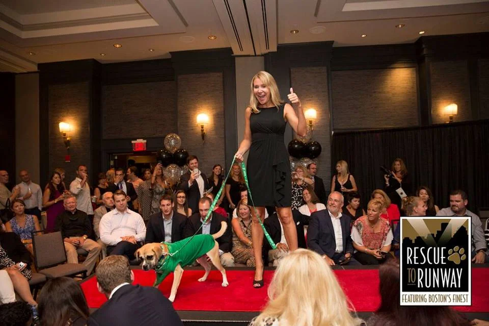 September 2015: Watchdog Mary walked an adorable dog up for adoption down the runway in the second annual "Rescue to Runway" event at the Hotel Commonwealth in Boston.