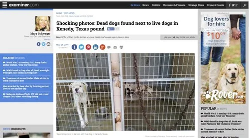 Shocking photos: Dead dogs found next to live dogs in Kenedy, Texas pound
