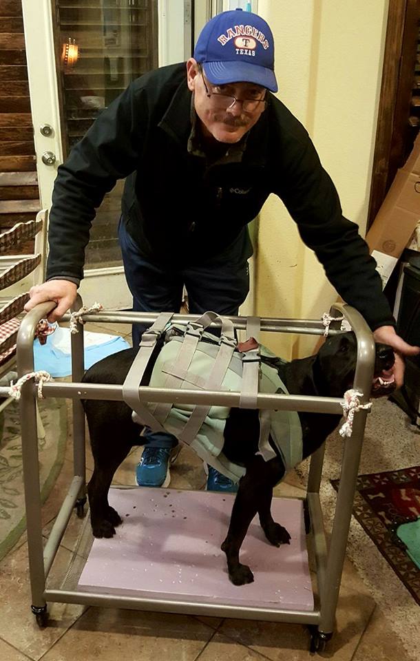 Paul Nagy and his "doggie transporter" he built just for Jenna. 