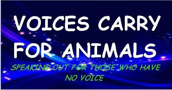 The "Voices Carry for Animals" radio show hosted Watchdog Mary and Jeremy Boss on Tuesday, February 28th from 8pm to 9pm ET. 