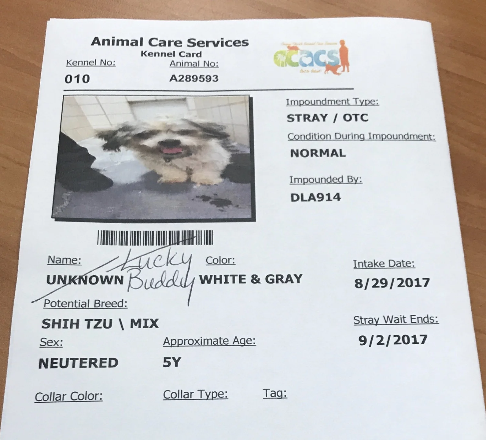 Buddy's intake sheet from the shelter