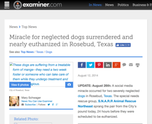 Original article 