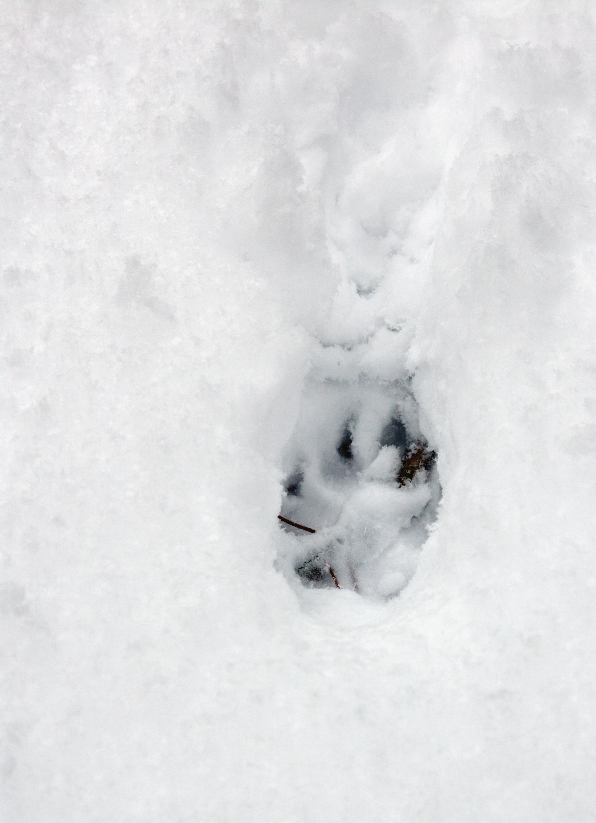 Photo by apixel/iStock / Getty Images