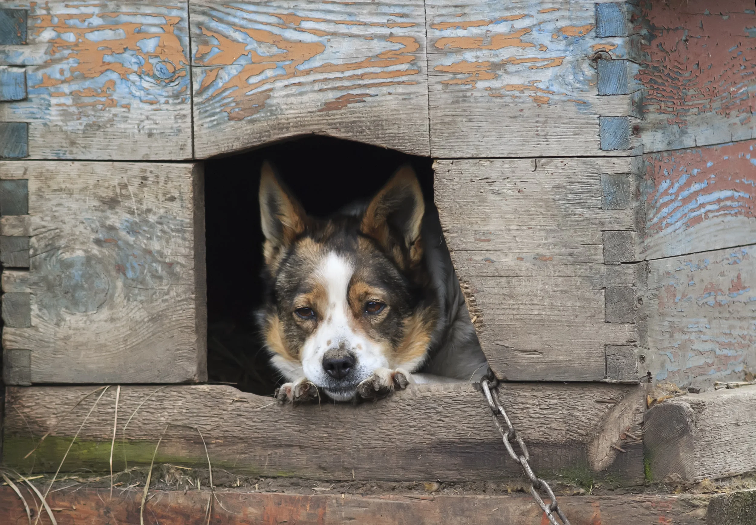 Photo by Nataba/iStock / Getty Images