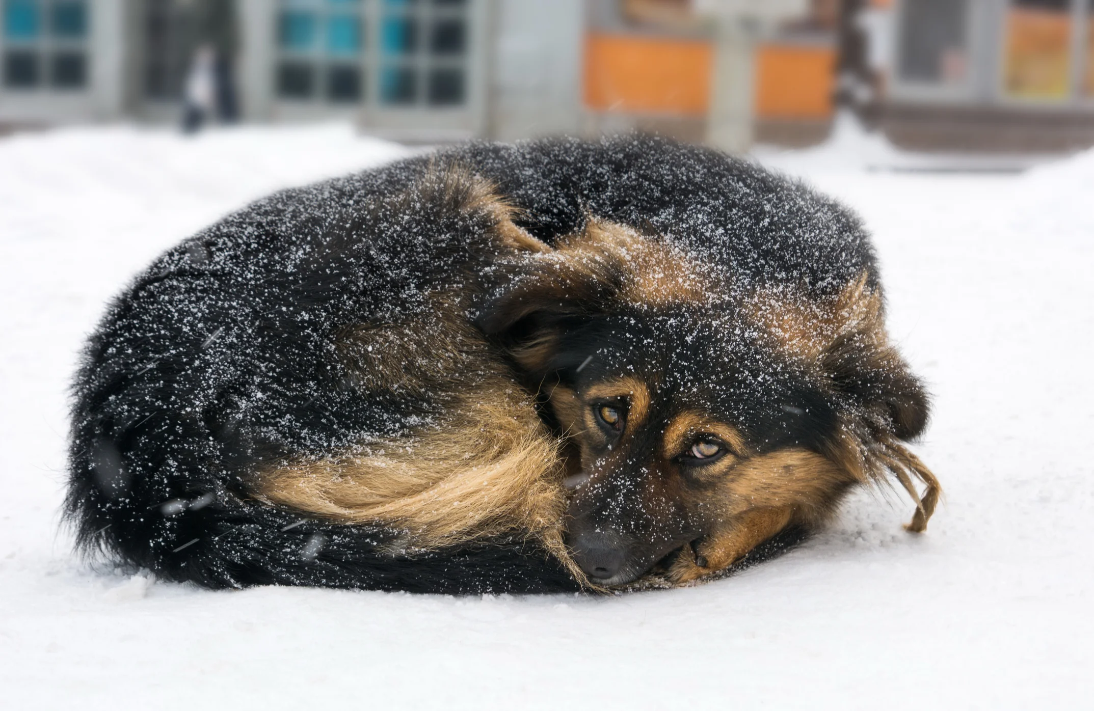 Photo by Creative-Family/iStock / Getty Images