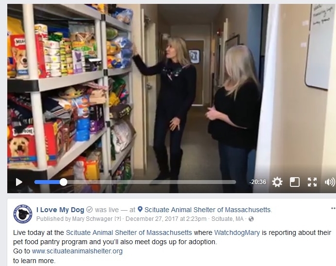 Live from the Scituate Animal Shelter — Watchdog Mary Live from the Scituate Animal Shelter — Watchdog Mary