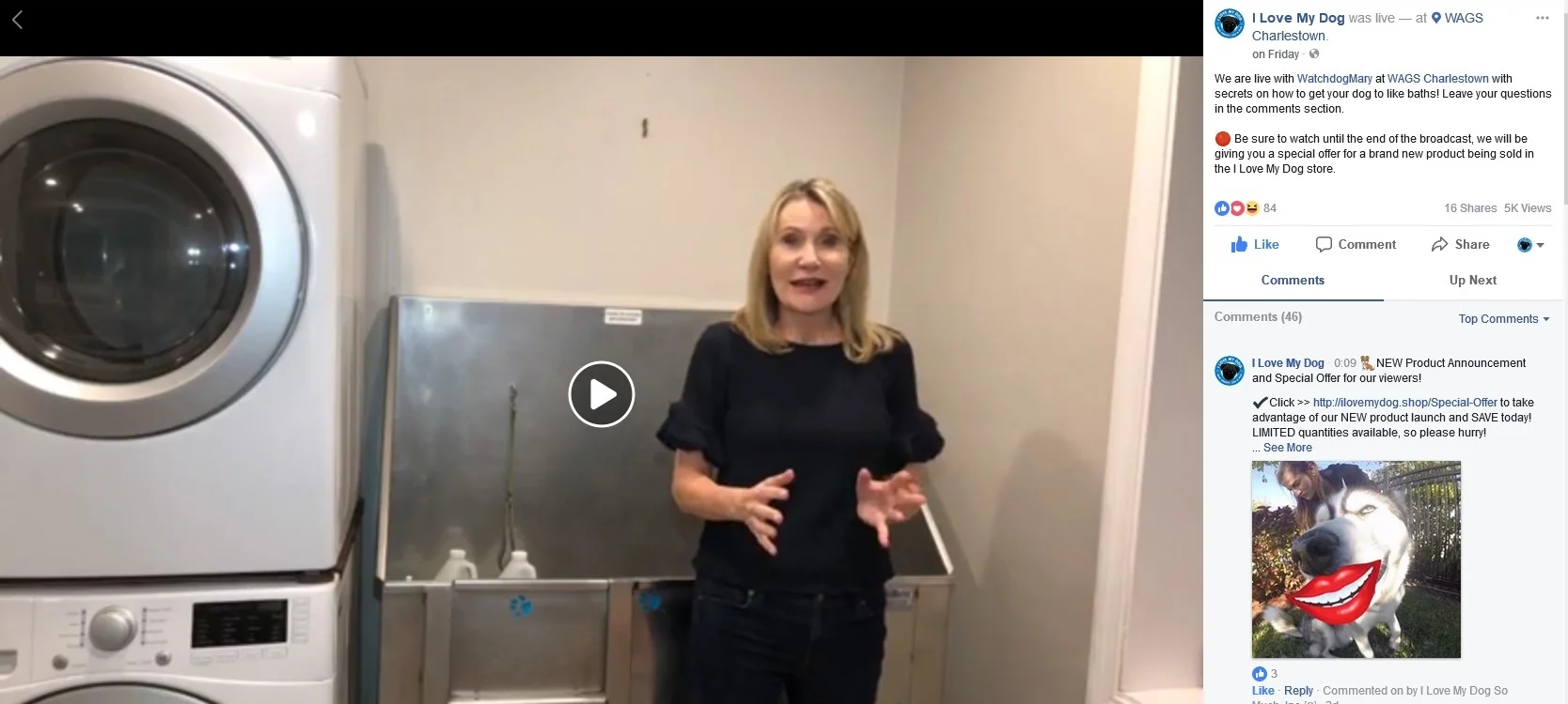 Facbeook Live: Secrets on how to get your dogs to like baths