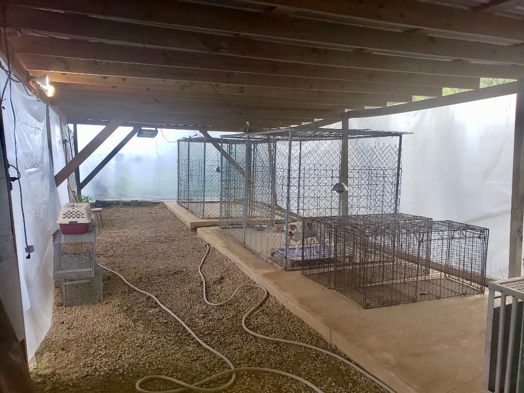 San Jacinto County animal shelter in Texas