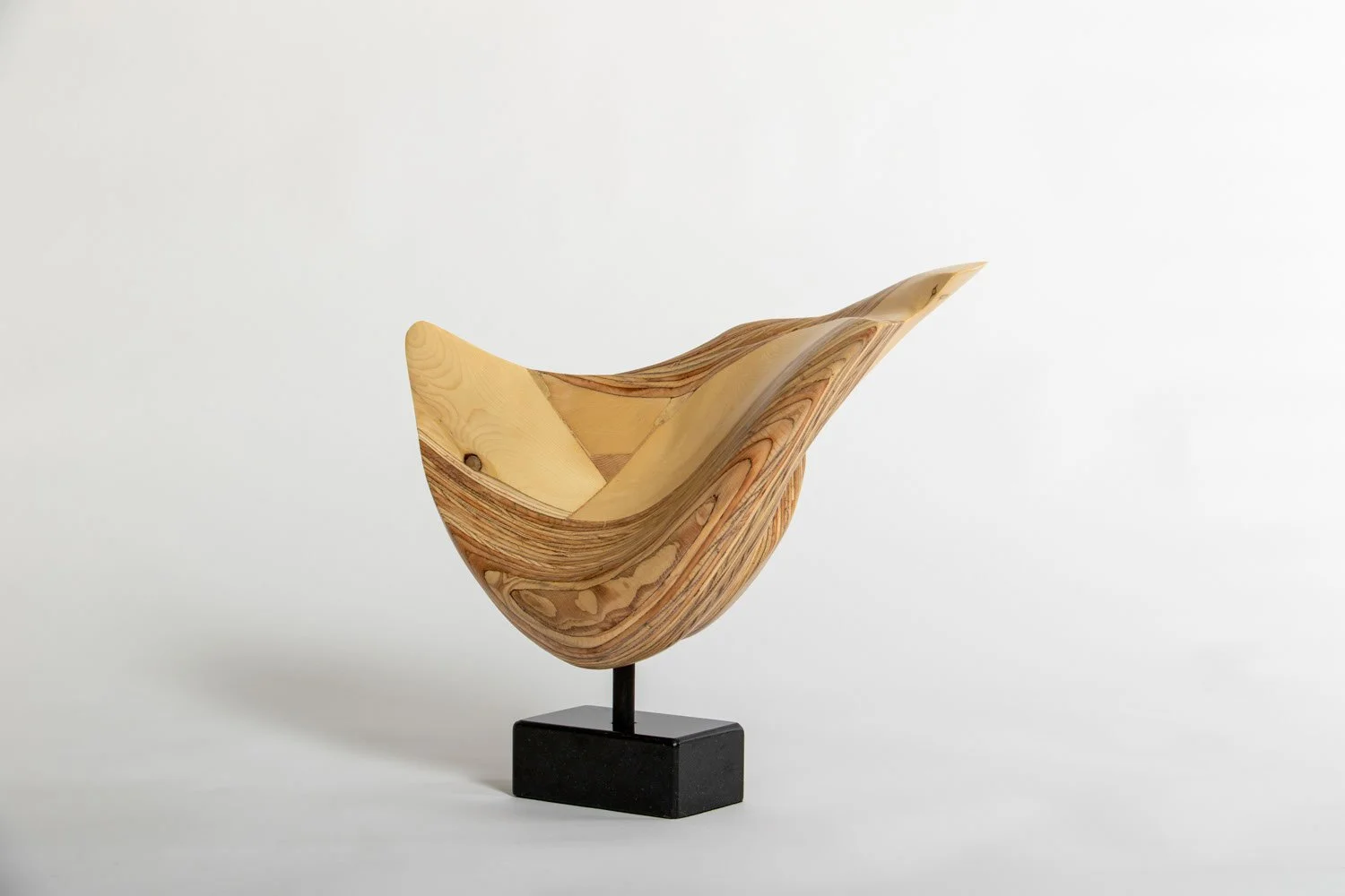 SEAL (3:4 Front Left).jpeg