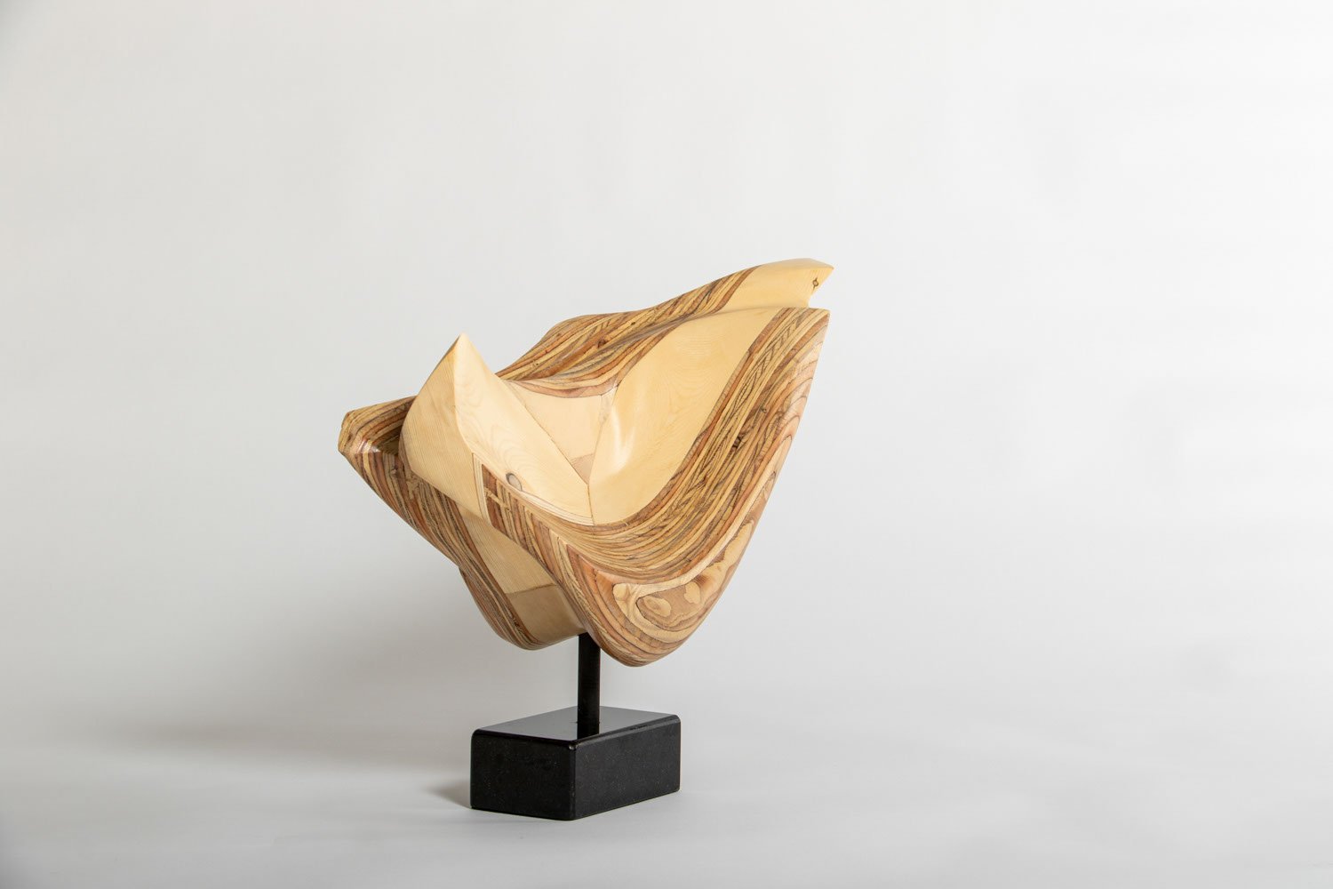 SEAL (3:4 Front Right).jpeg