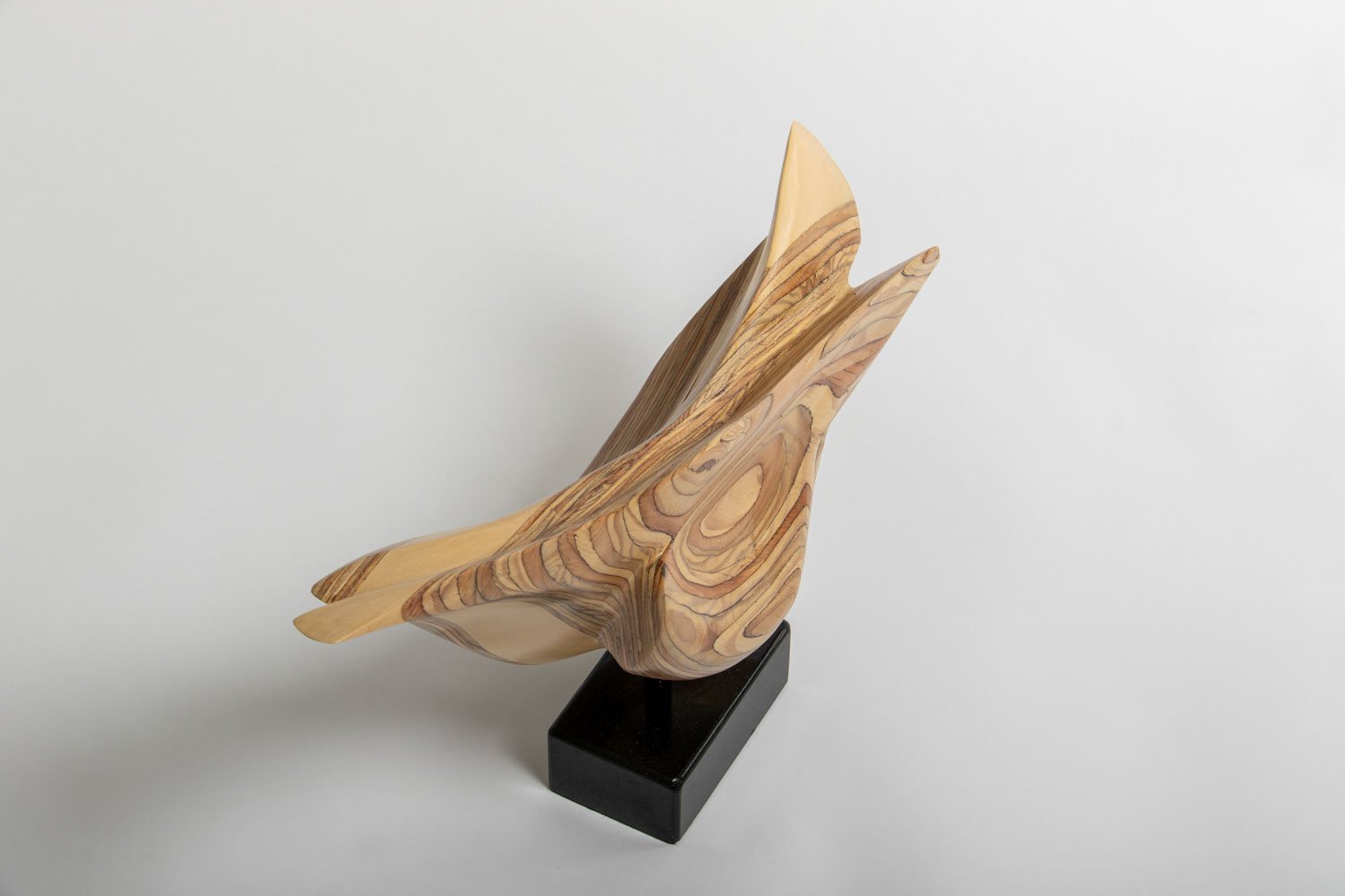 SEAL (Aerial 3:4 Front Right).jpeg