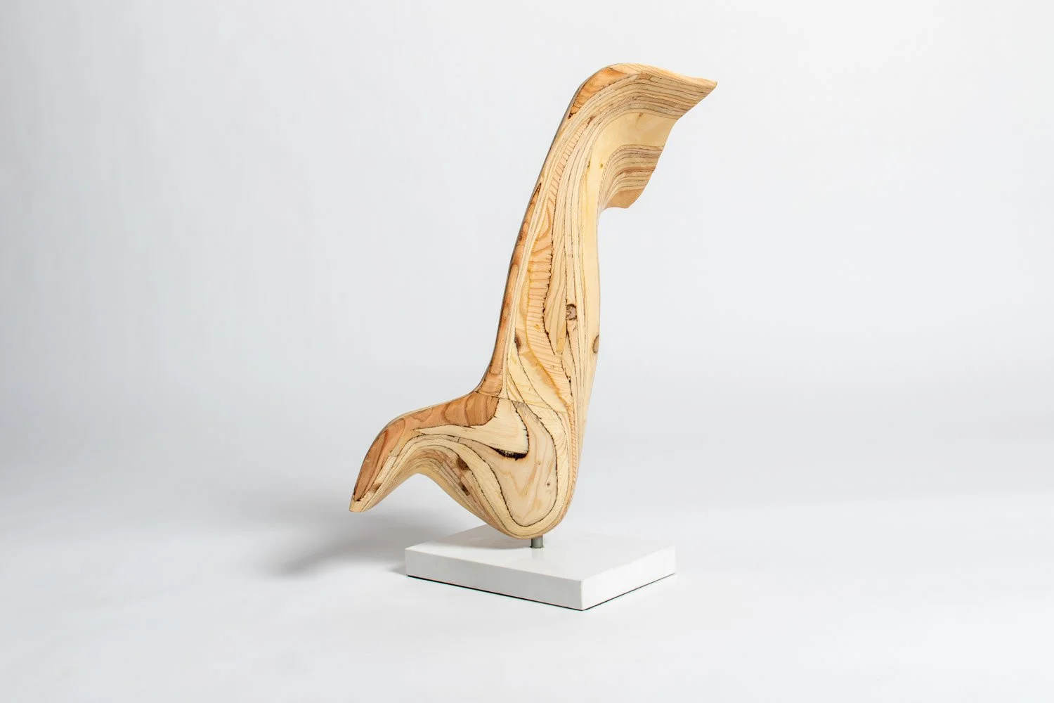 Wayfarer II 3:4 Back Left.jpeg