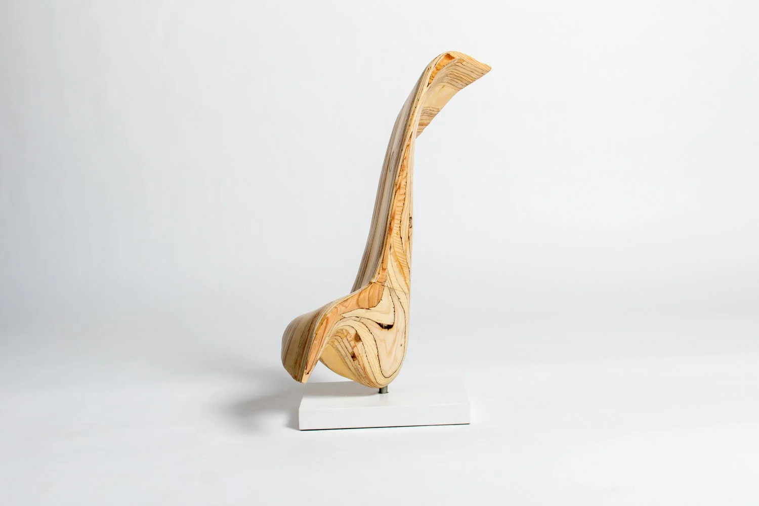 Wayfarer II Left.jpeg